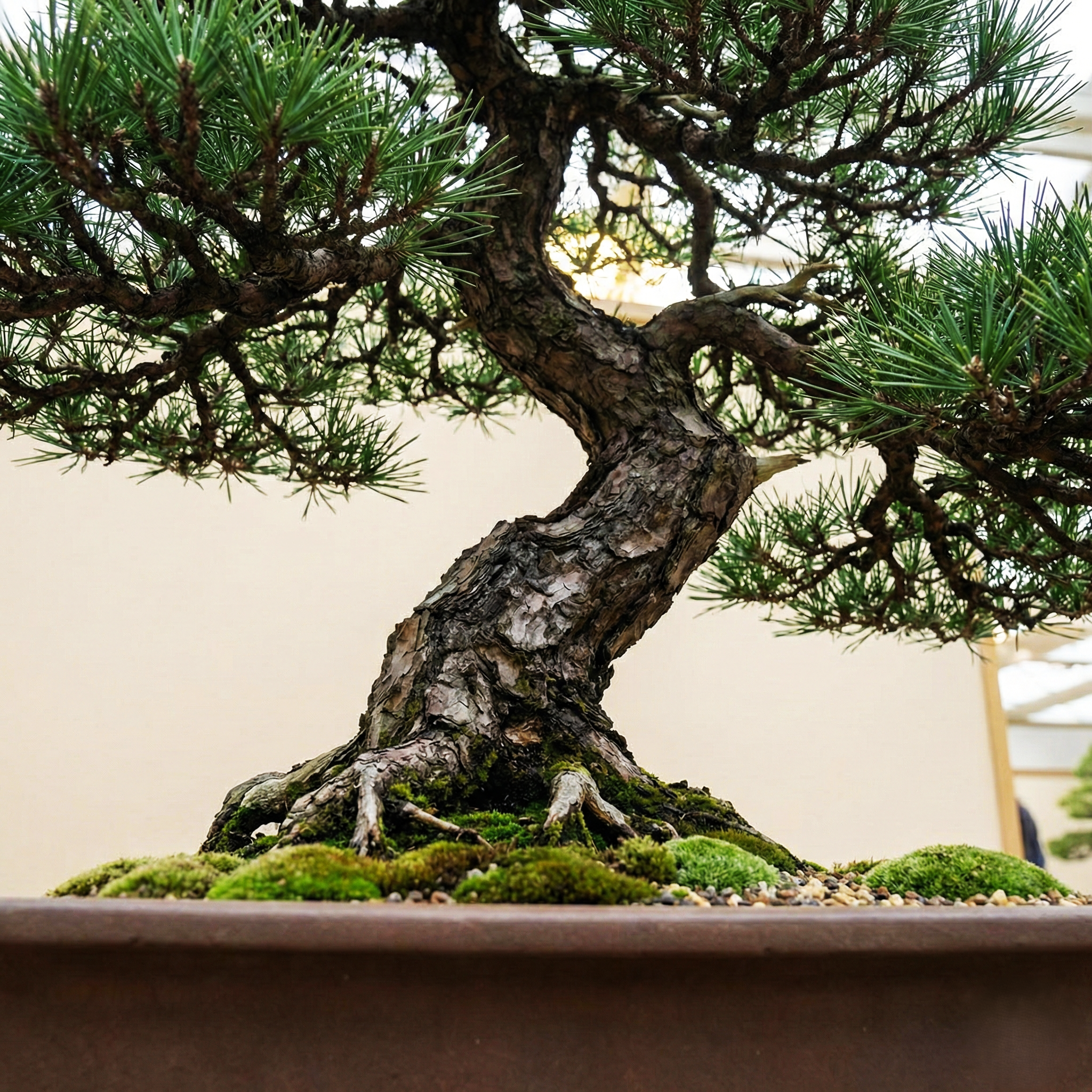 The Art of Professional Serenity: Why Your Office or Restaurant Needs a Touch of Tokoname