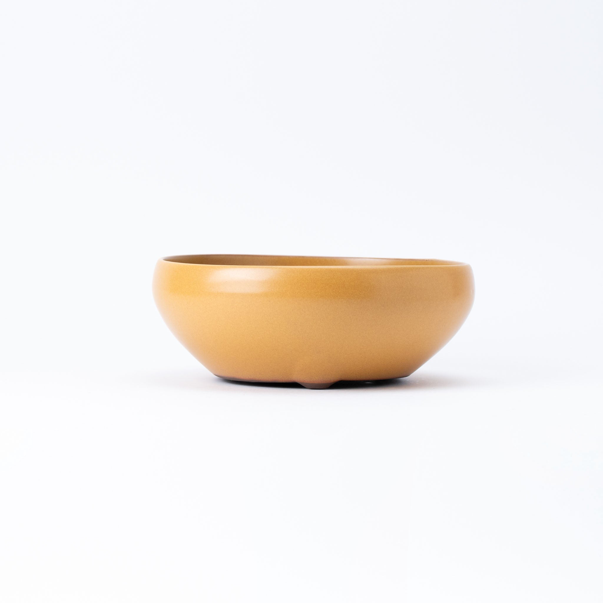 Naginowa Yellow Circle BANKO Ware Japanese Bonsai Pot Set of 2