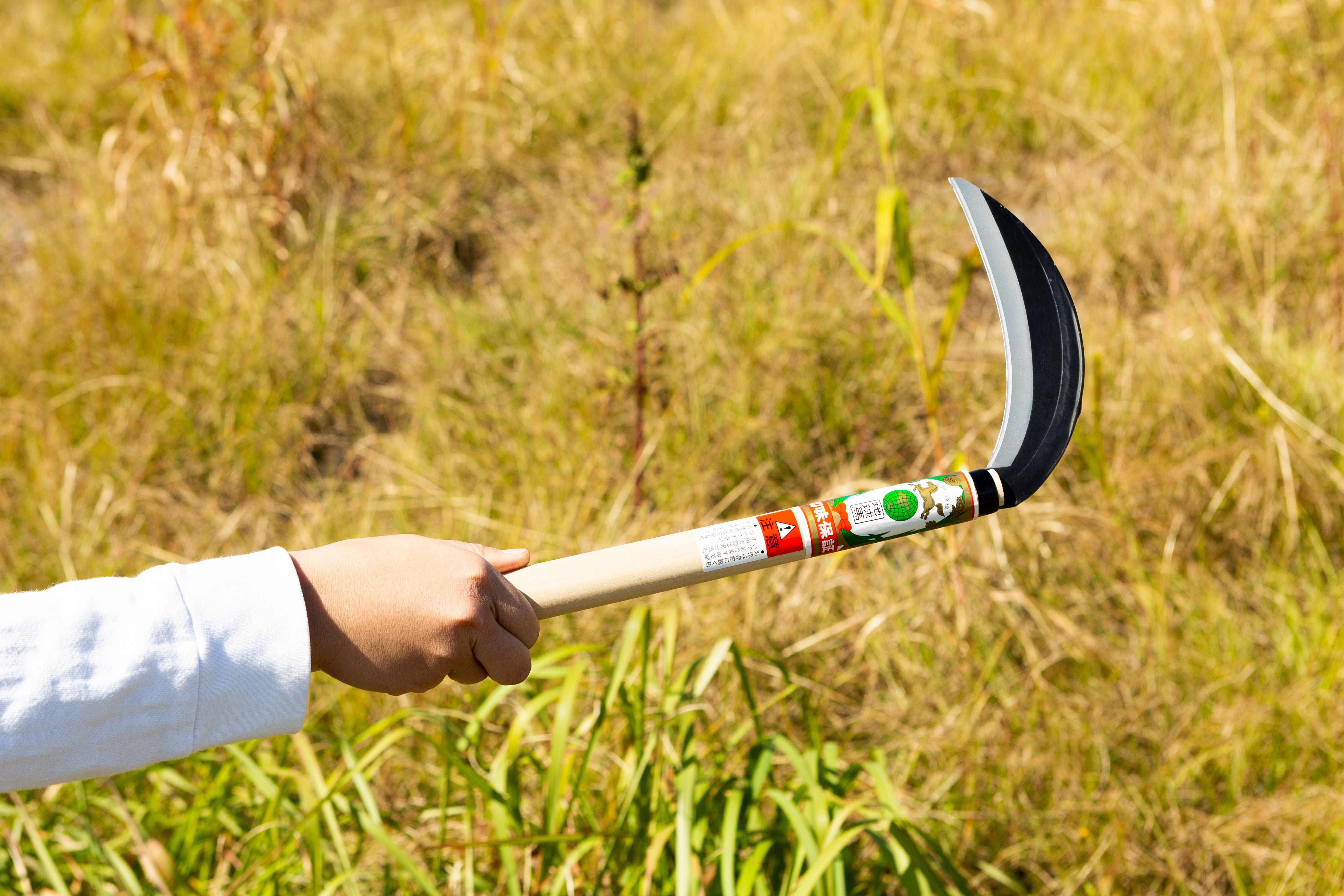 Chikyuma Japanese Weeding Sickle (Medium Blade) 7.09 in (180 mm) - Japanese Gardening Tools