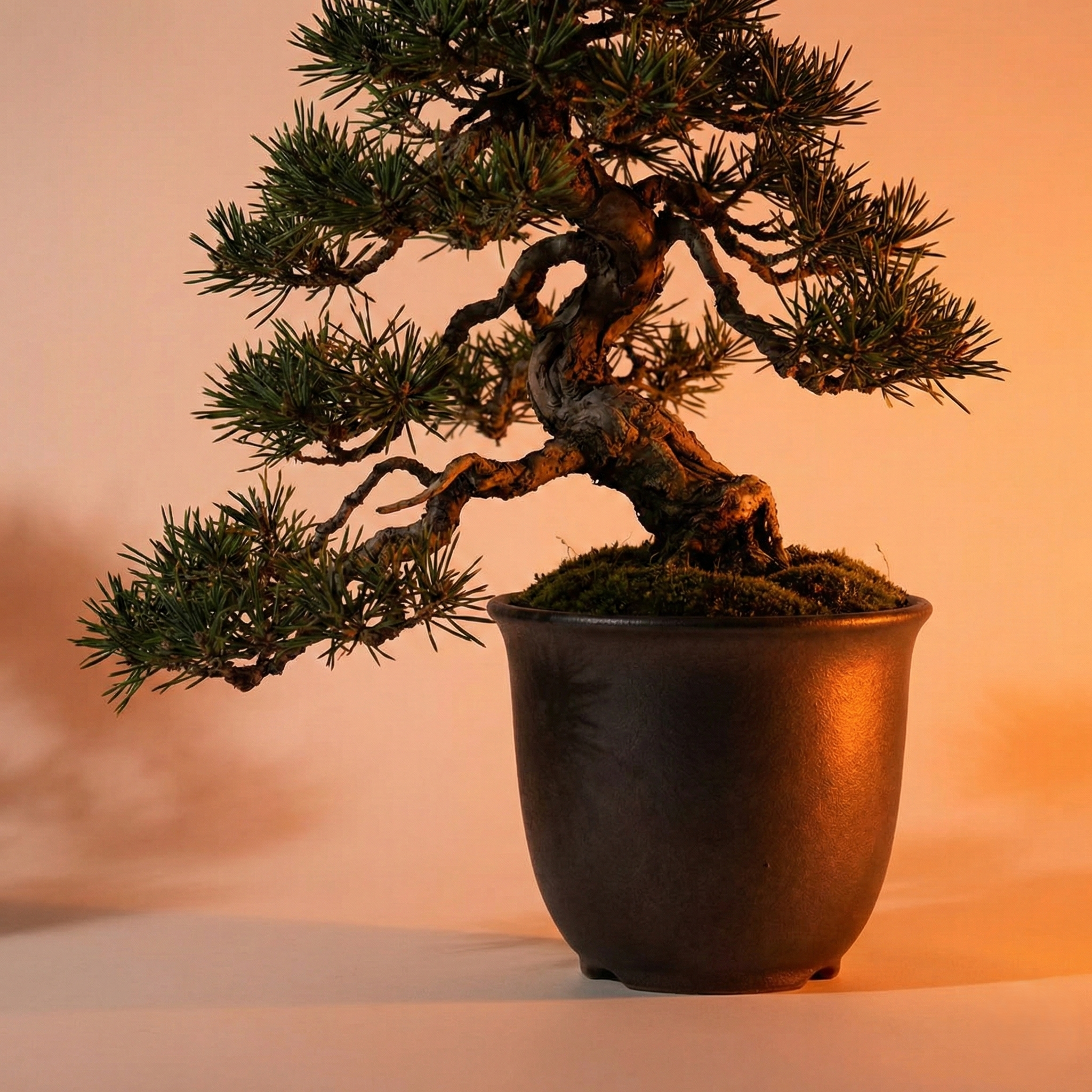 The Aesthetics of Depth: Why the "Night Sea" Banko-yaki Pot is the Ultimate Anchor for Modern Spaces