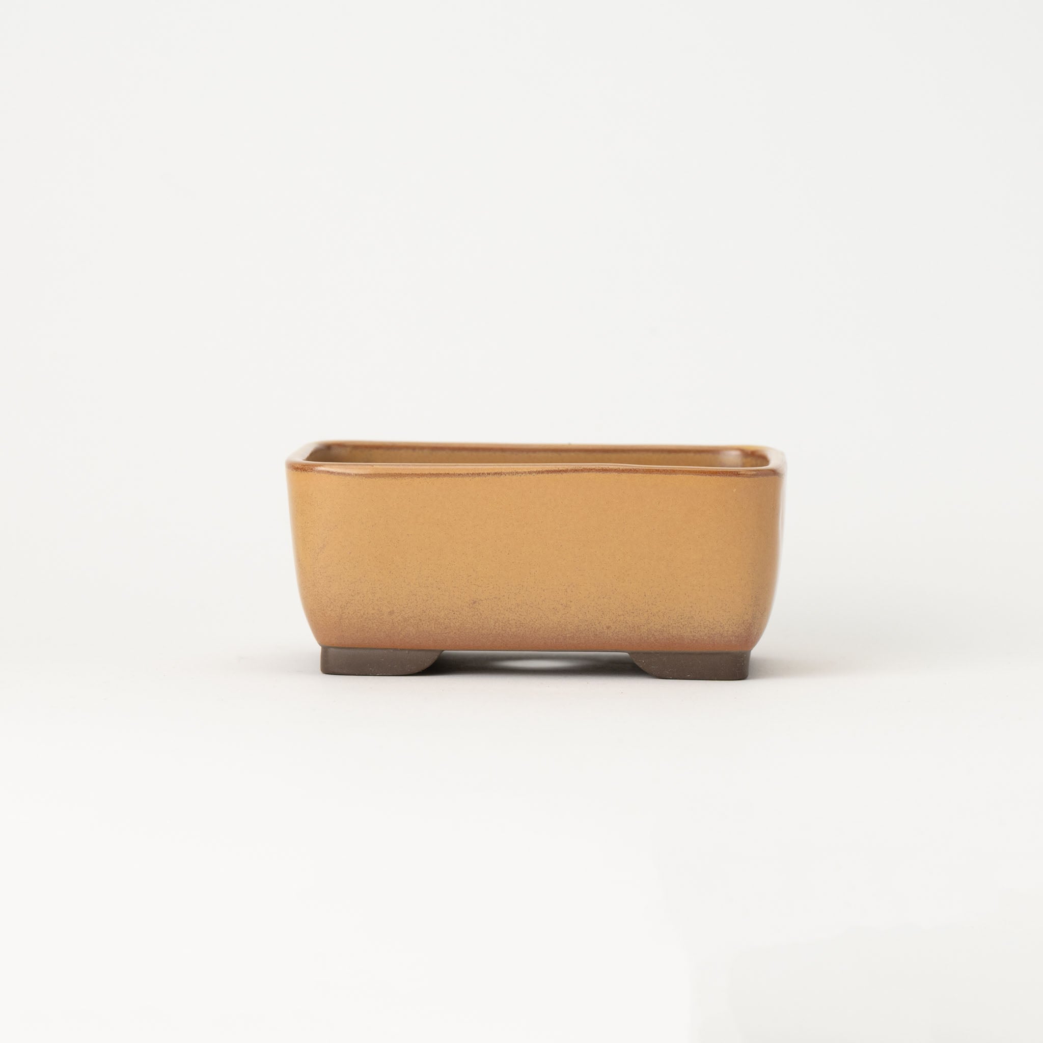 Naginowa Yellow Nadir BANKO Ware Japanese Bonsai Pot 5.4 in.