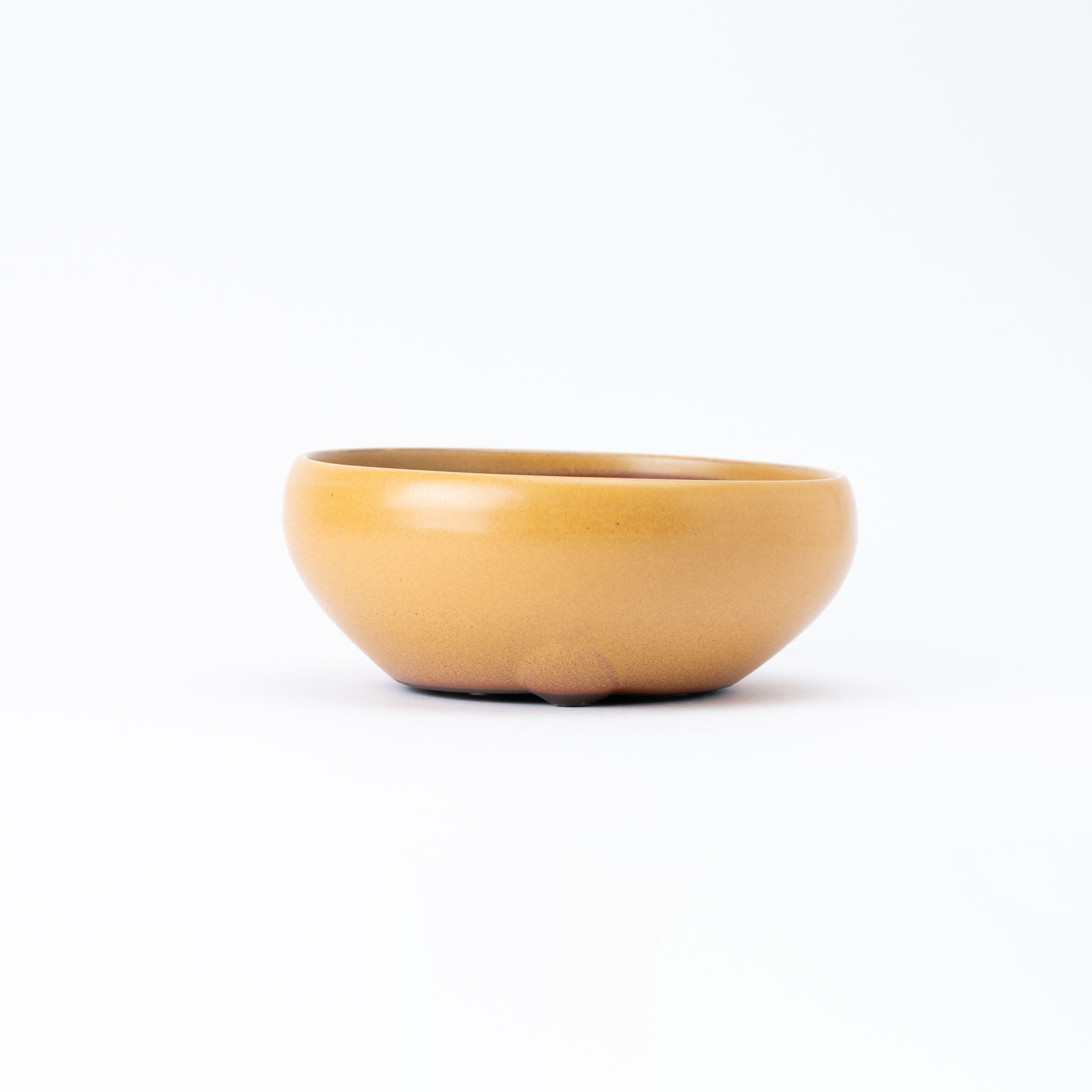 Naginowa Yellow Circle BANKO Ware Japanese Bonsai Pot Set of 2