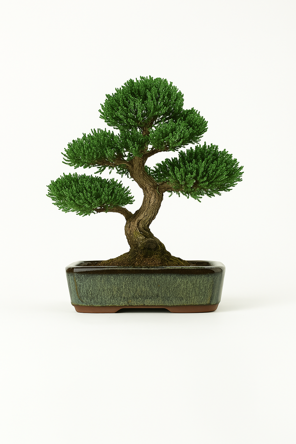 Eimei Tokoname Ware Long-sided Smeared Japanese Bonsai Pot 7.2 in.
